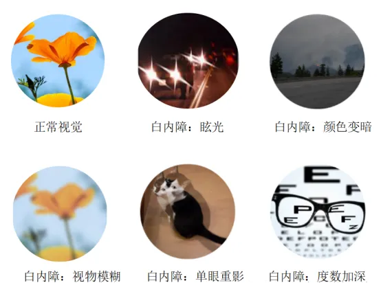 1740732503508384.png c23d84f0-701b-4358-a76e-a89f9872e40d.png